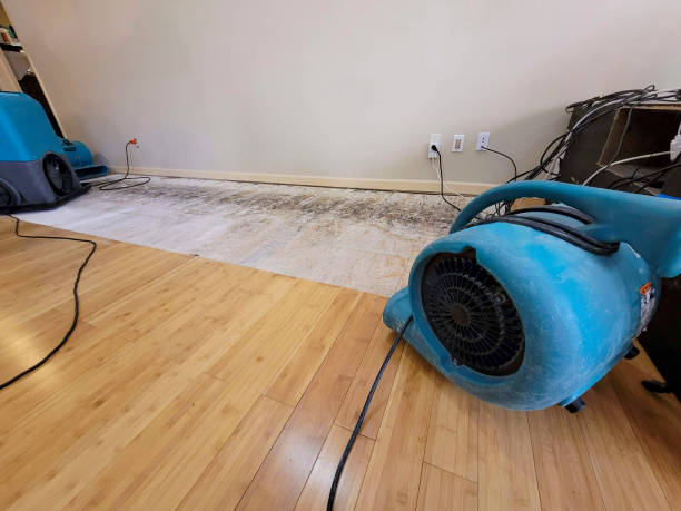 Professional Water Removal technician working in Hobson, TX